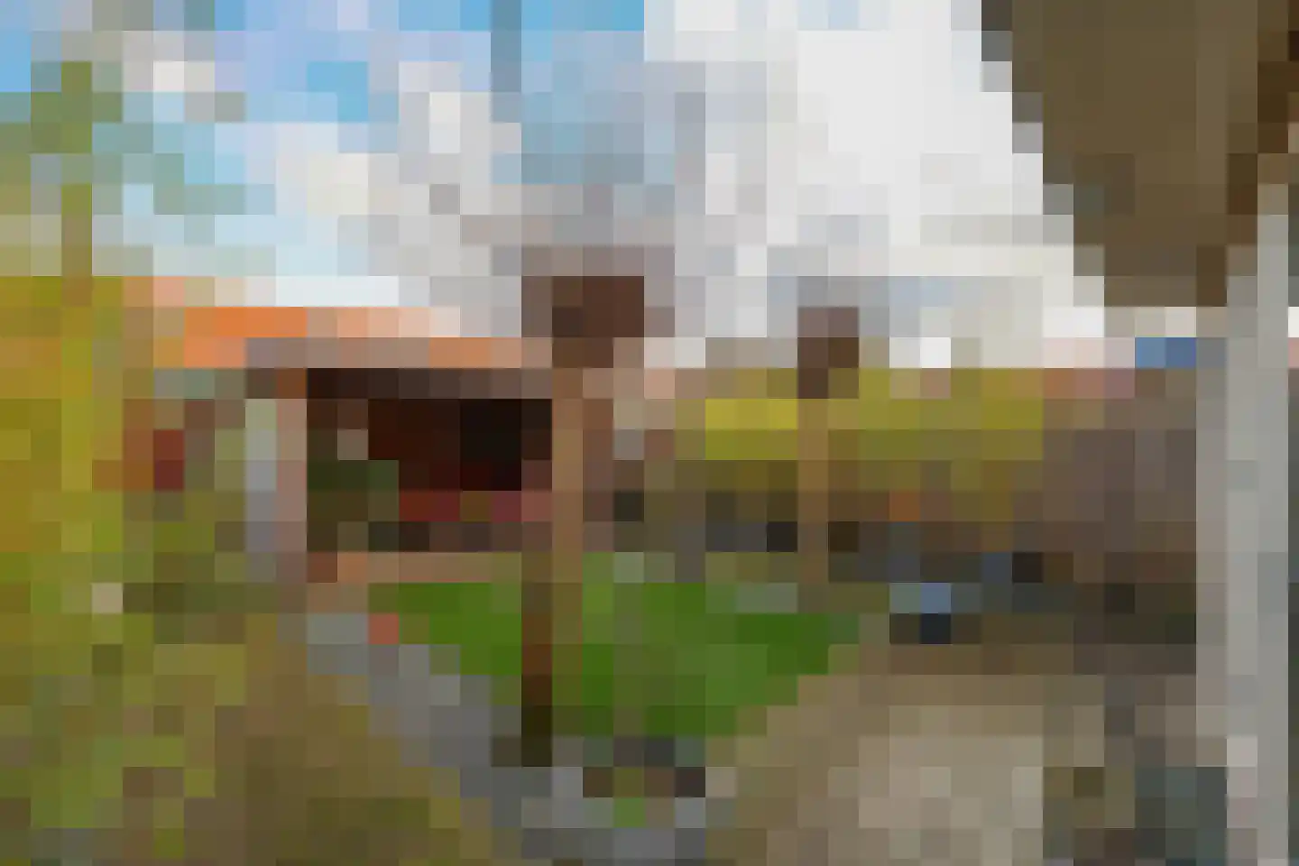 Singraven 15 Lelystad thumbnail 39