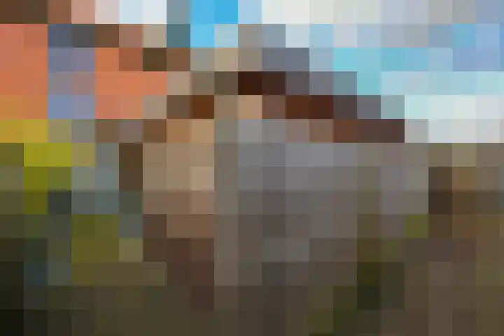 Singraven 15 Lelystad thumbnail 47