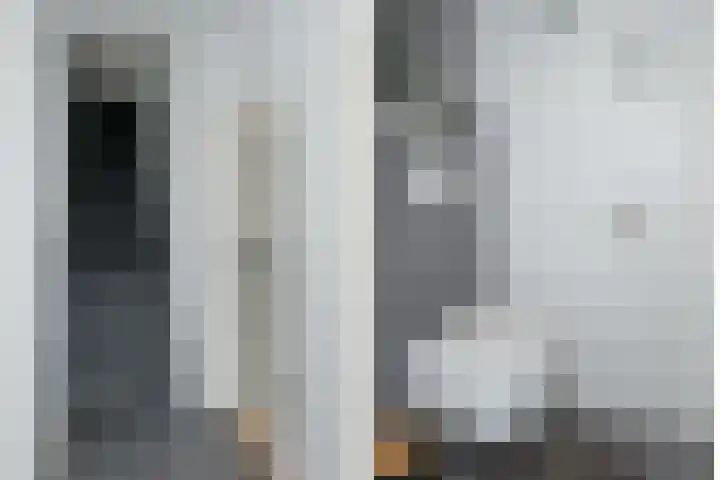 Singraven 47 Almelo thumbnail 12