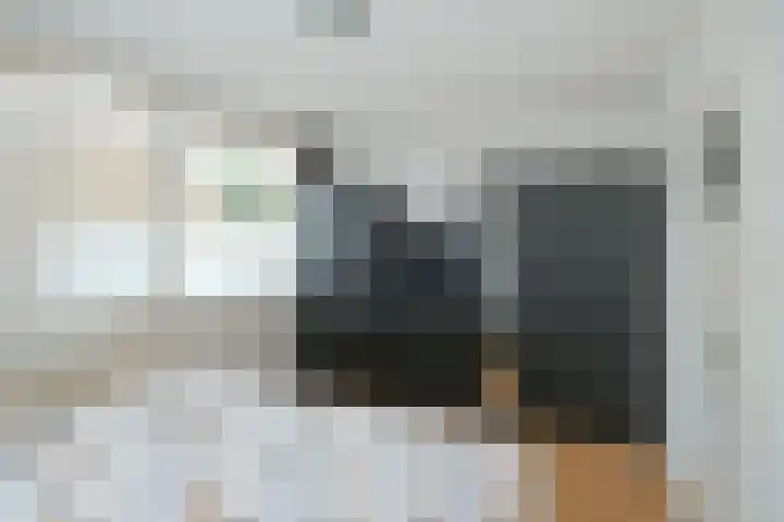 Singraven 47 Almelo thumbnail 14