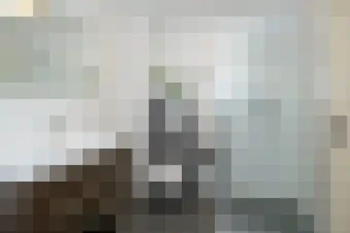 Singraven 47 Almelo thumbnail 17