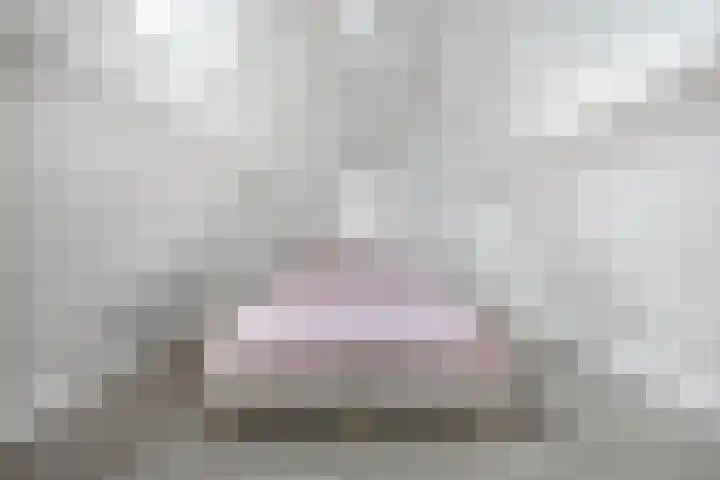 Singravendreef 20 Helmond thumbnail 40