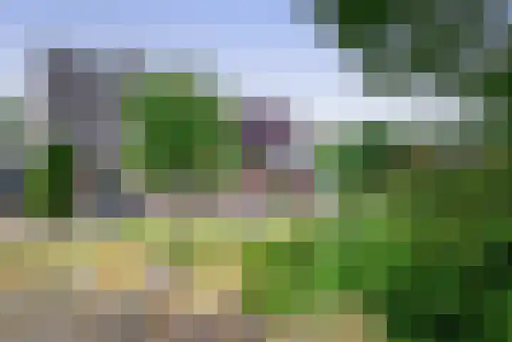 Singravendreef 20 Helmond thumbnail 46
