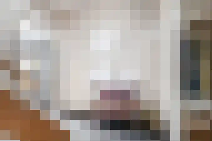 Singravendreef 20 Helmond thumbnail 7