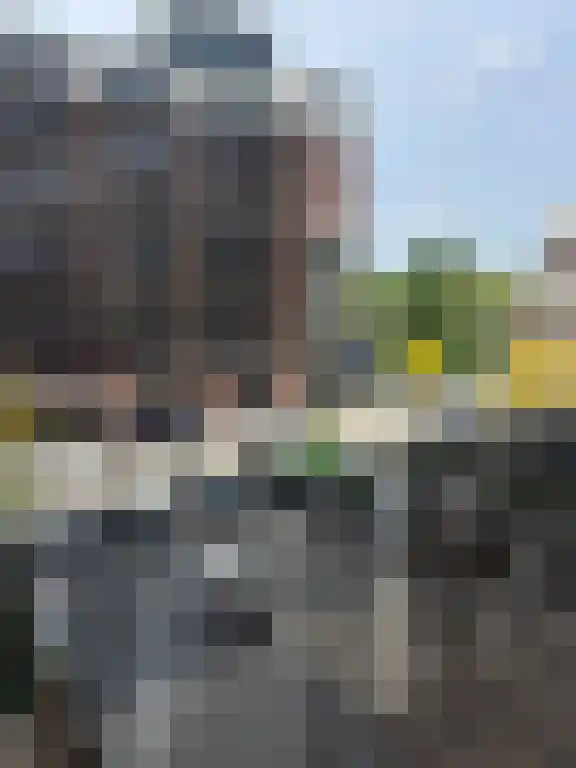 Singravenhof Arnhem
