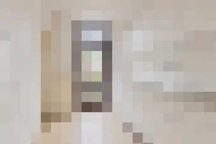 Sinopelstraat 30 Tilburg thumbnail 10
