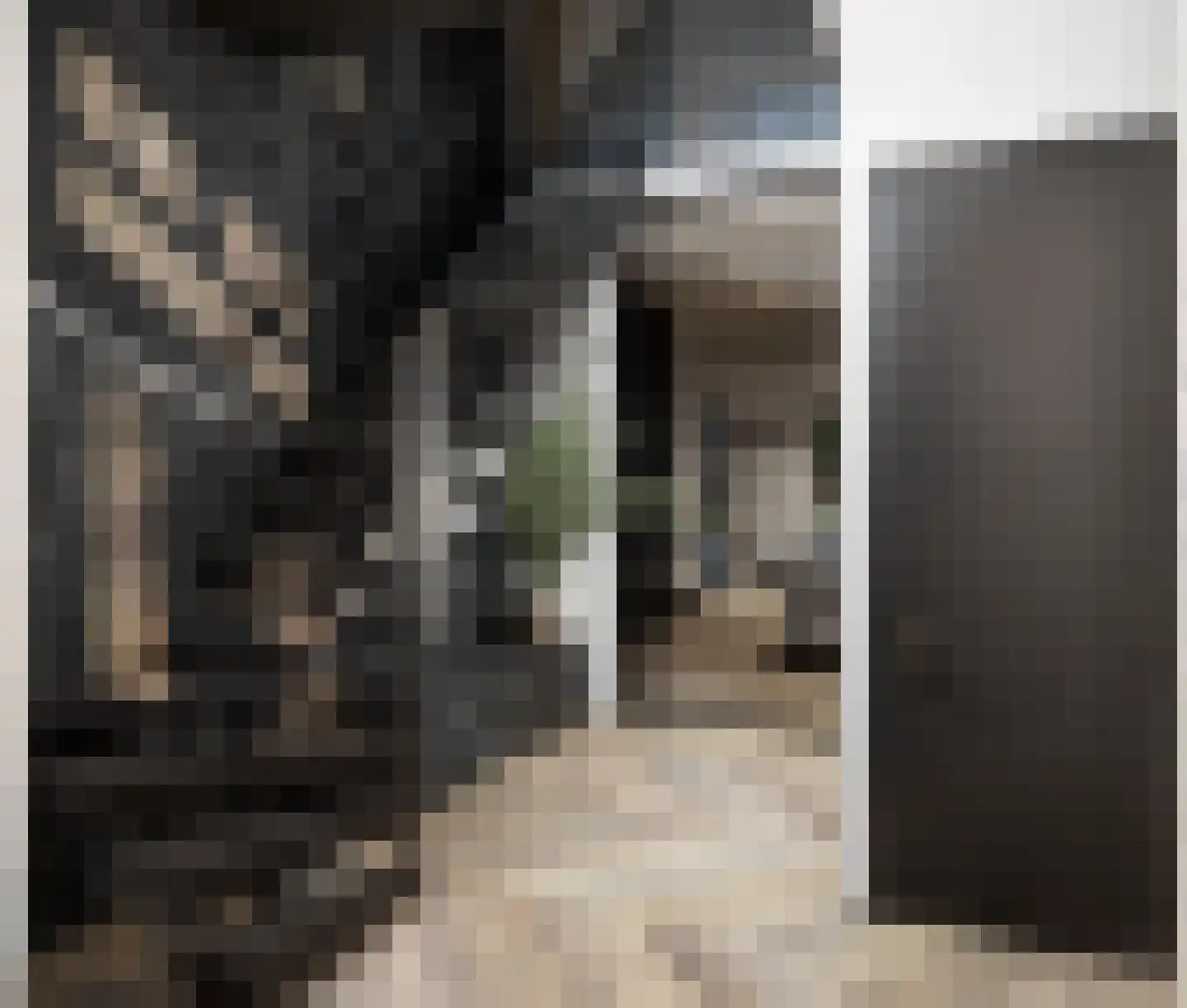 Sint Annabos 3 Almere thumbnail 18