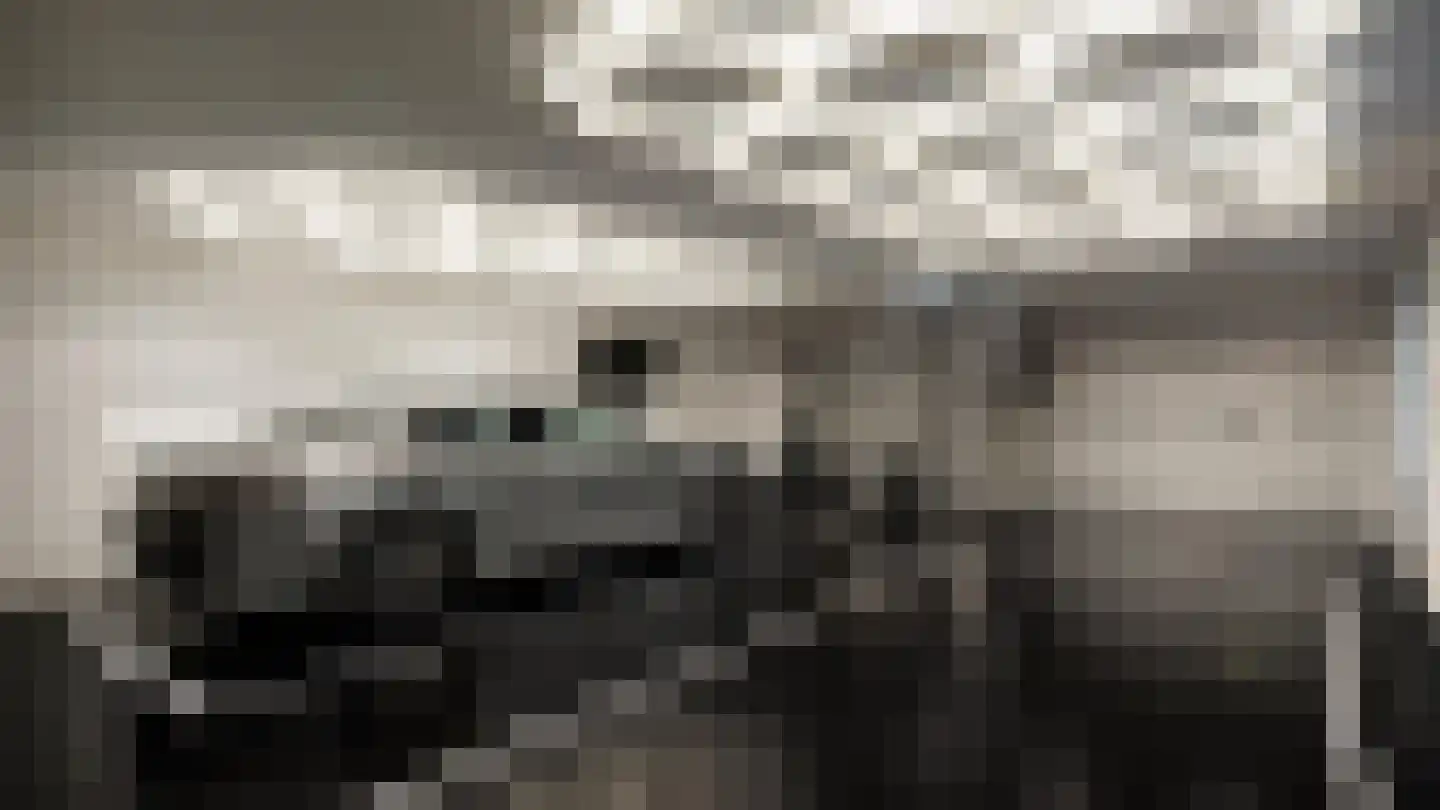 Sint Annabos 3 Almere thumbnail 33