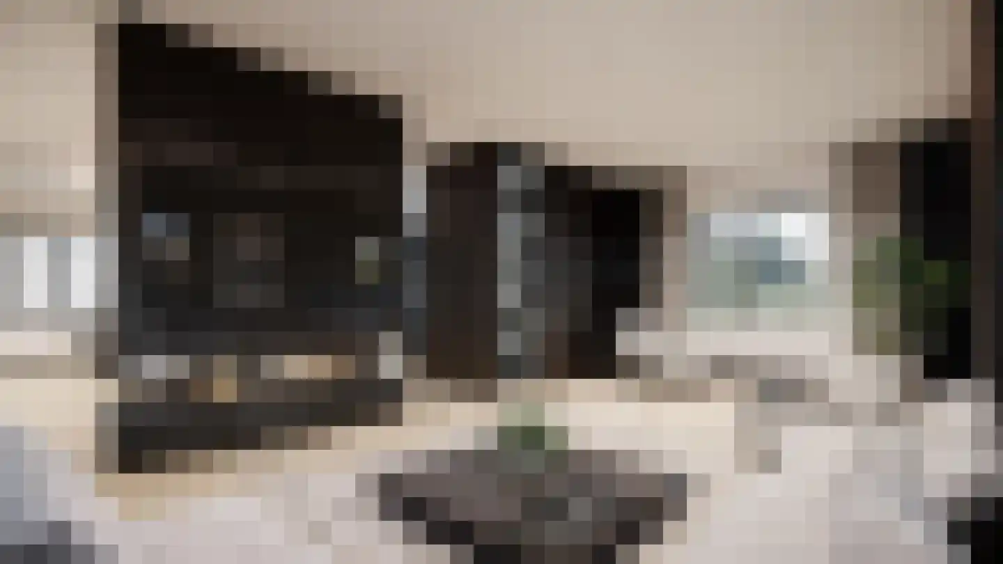 Sint Annabos 3 Almere thumbnail 4