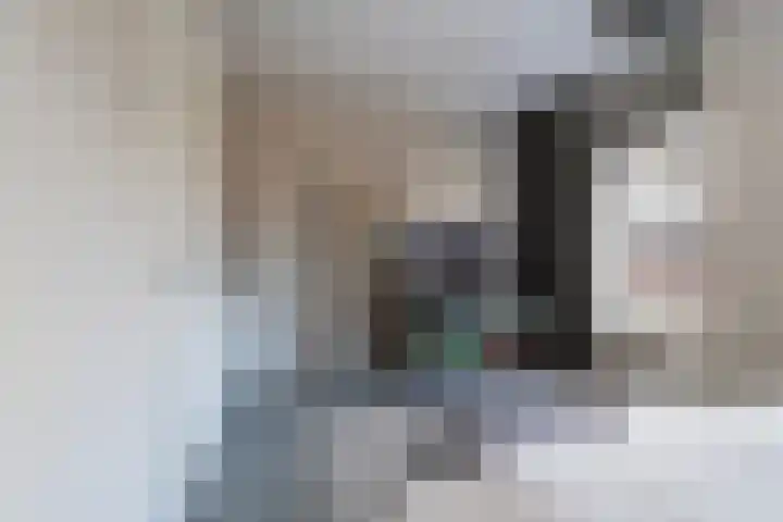 Sint Corneliusstraat 29 Tilburg thumbnail 21