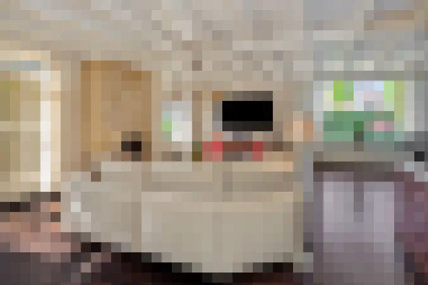 Sint Corneliusweg 20 's-Hertogenbosch thumbnail 18