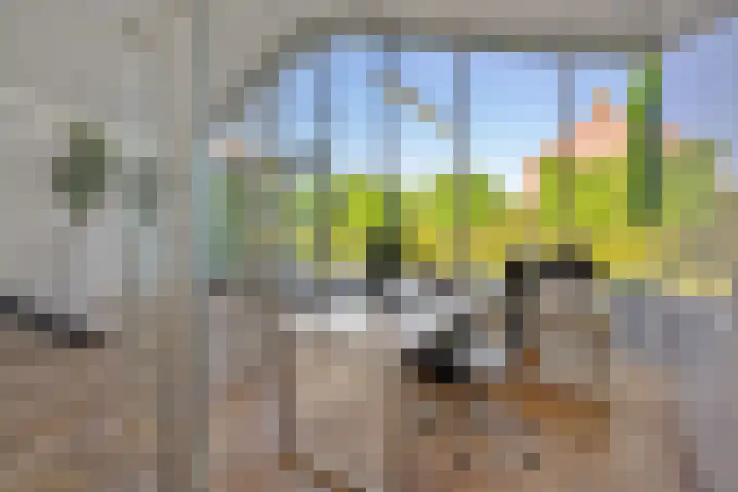 Sint Corneliusweg 20 's-Hertogenbosch thumbnail 41