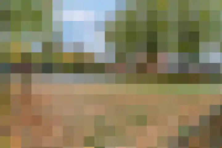 Sint Hubertus 69 Ede thumbnail 4