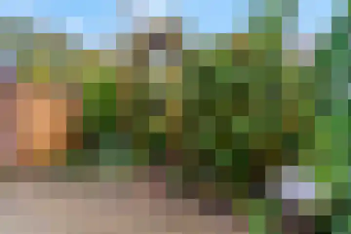 Sint Hubertus 69 Ede thumbnail 41