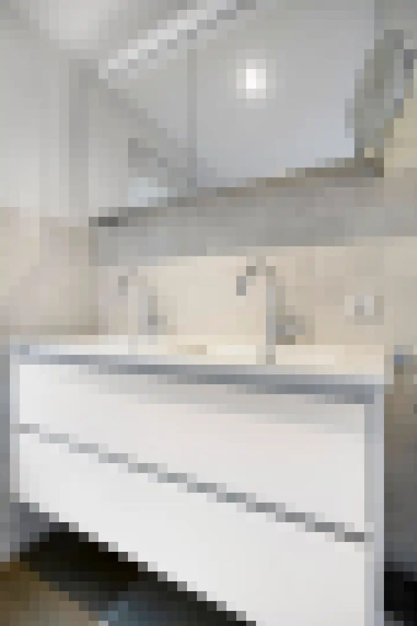 Sint Jacobsbaan 51 Goirle thumbnail 19