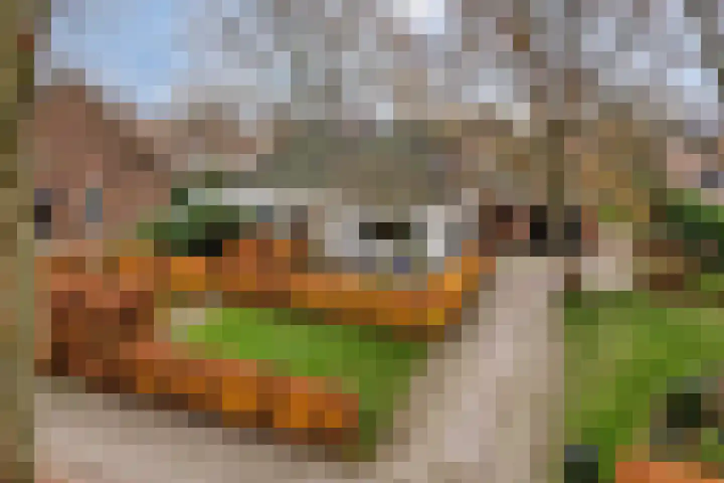 Sint Jacobsbaan 51 Goirle thumbnail 36