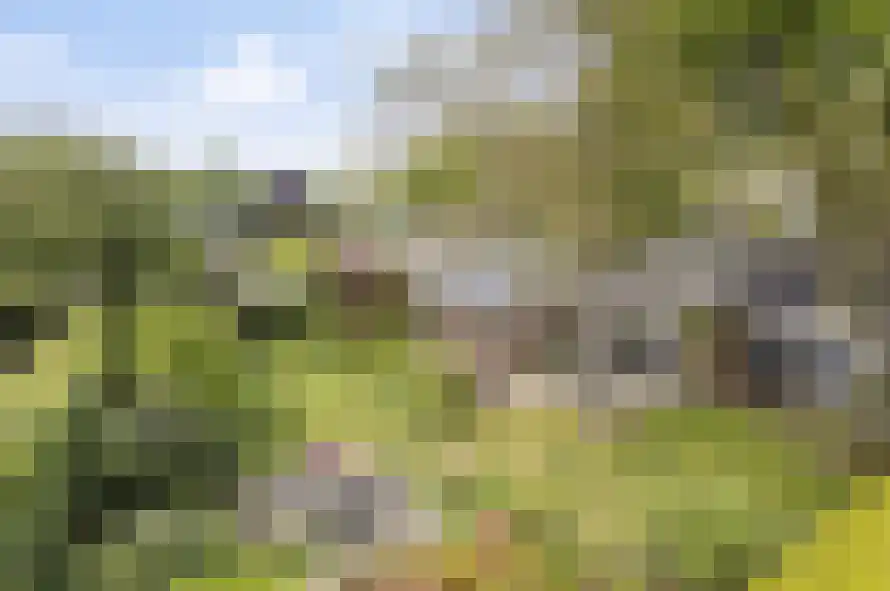 Sint Jacobsbaan 51 Goirle thumbnail 38