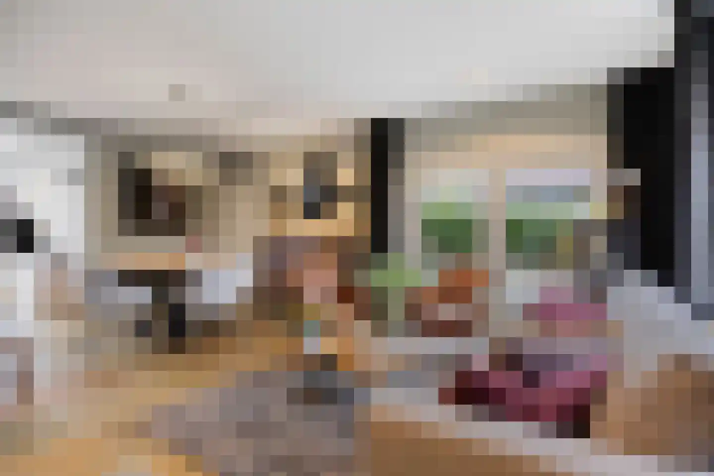 Sint Jacobsbaan 51 Goirle thumbnail 4