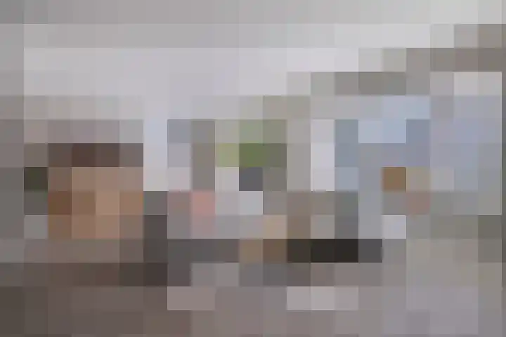 Sint Jansbloem 51 Gemert thumbnail 12