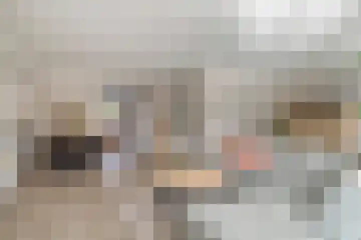 Sint Jansbloem 51 Gemert thumbnail 13