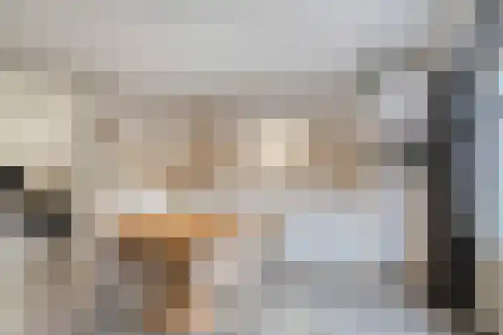 Sint Jansbloem 51 Gemert thumbnail 16