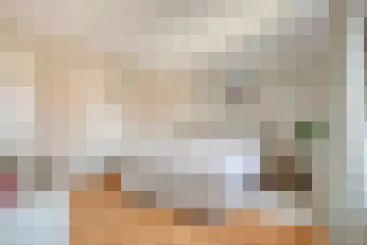 Sint Jansbloem 51 Gemert thumbnail 22