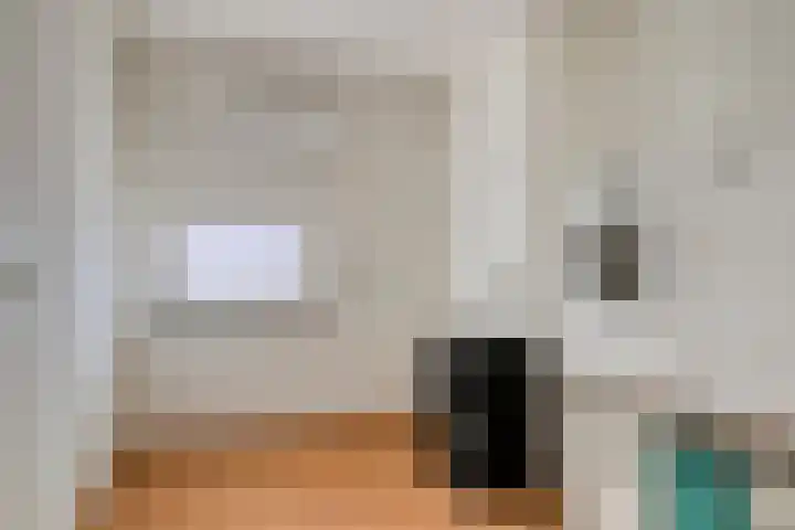 Sint Jansbloem 51 Gemert thumbnail 26