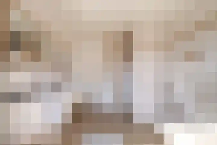 Sint Jansbloem 51 Gemert thumbnail 28