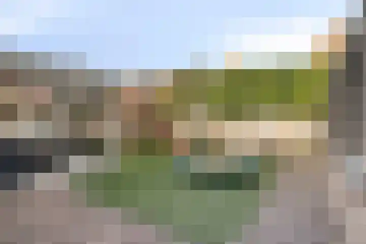 Sint Jansbloem 51 Gemert thumbnail 34