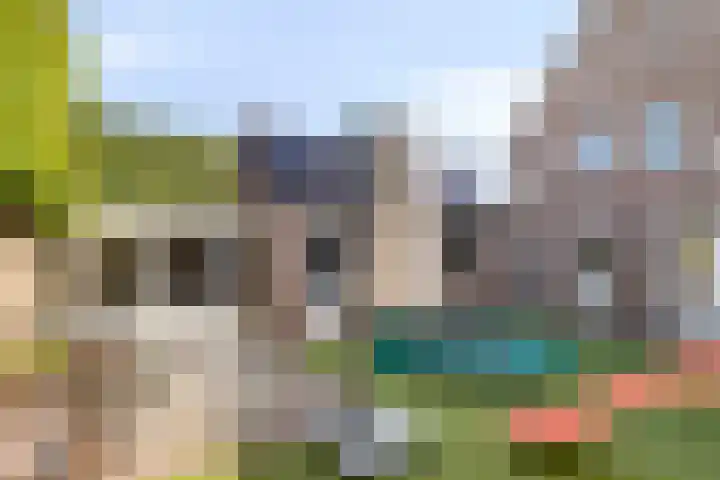 Sint Jansbloem 51 Gemert thumbnail 37