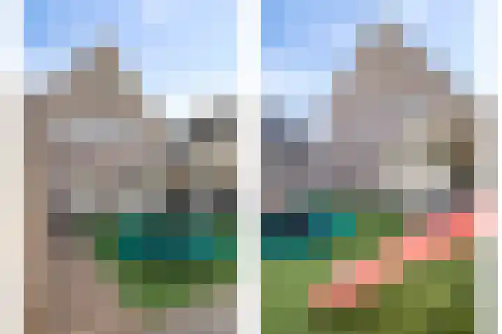 Sint Jansbloem 51 Gemert thumbnail 38