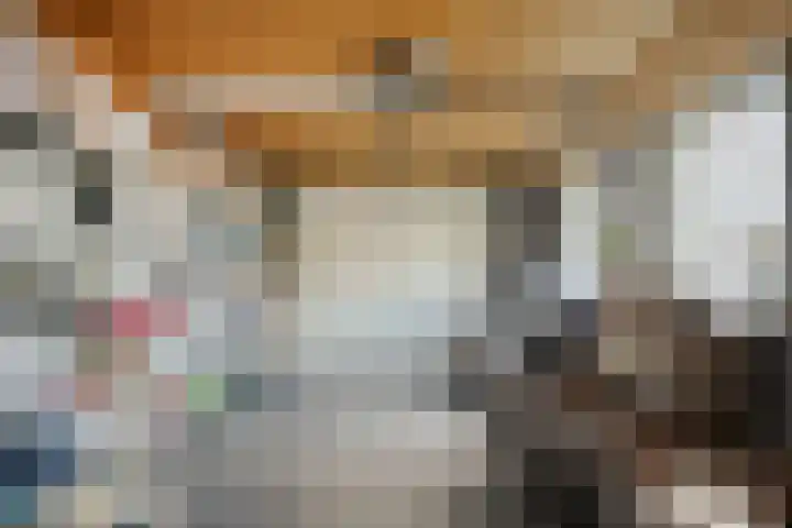 Sint Jansbloem 51 Gemert thumbnail 42