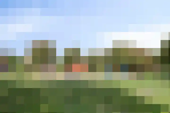 Sint Jansbloem 51 Gemert thumbnail 43