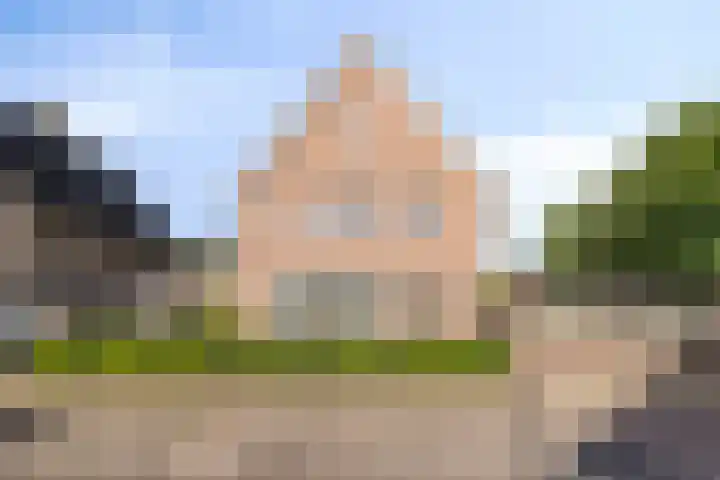 Sint Jansbloem 51 Gemert thumbnail 7