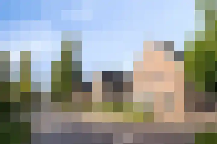 Sint Jansbloem 51 Gemert thumbnail 8