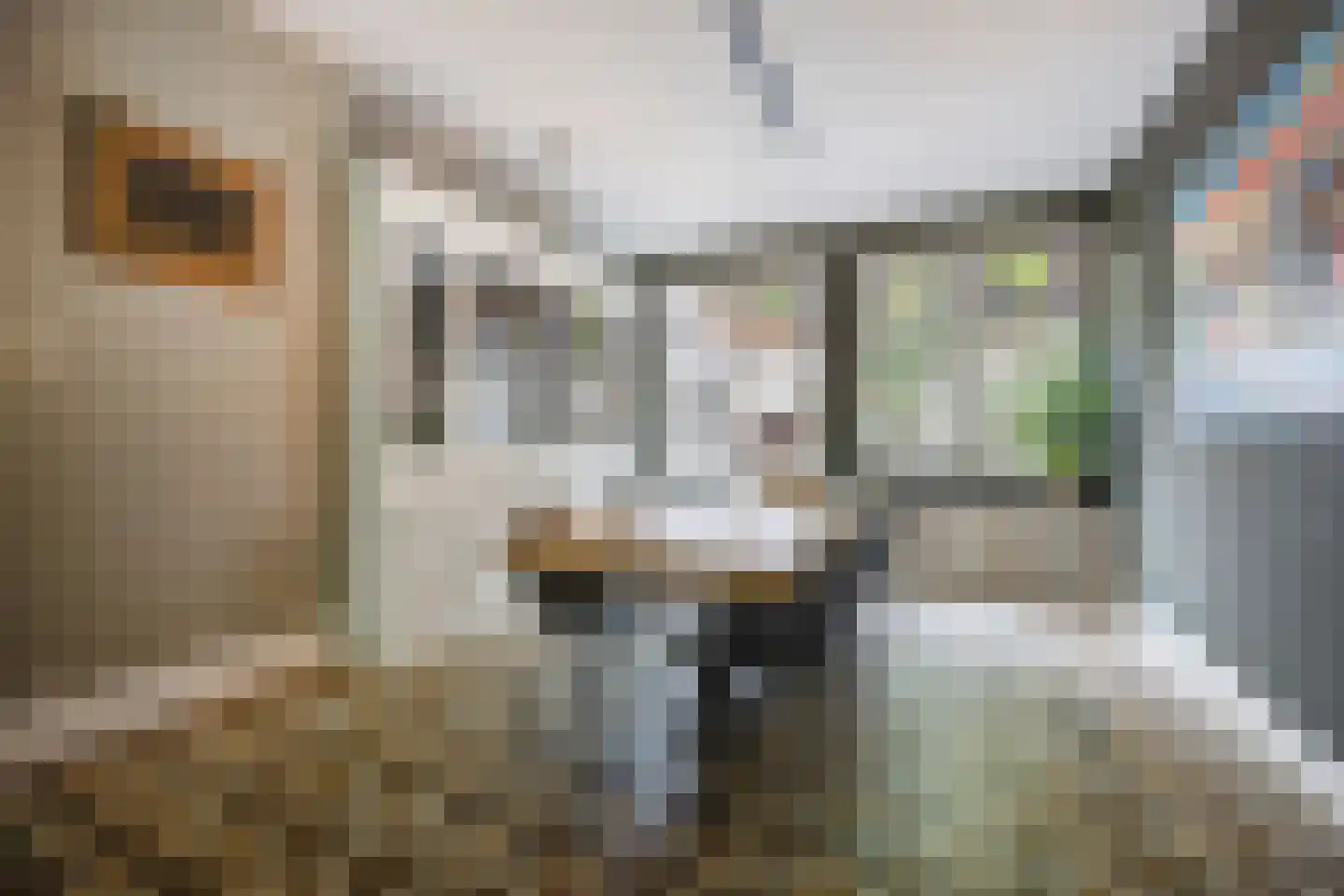 Sint Janstraat 125 Sprundel thumbnail 18
