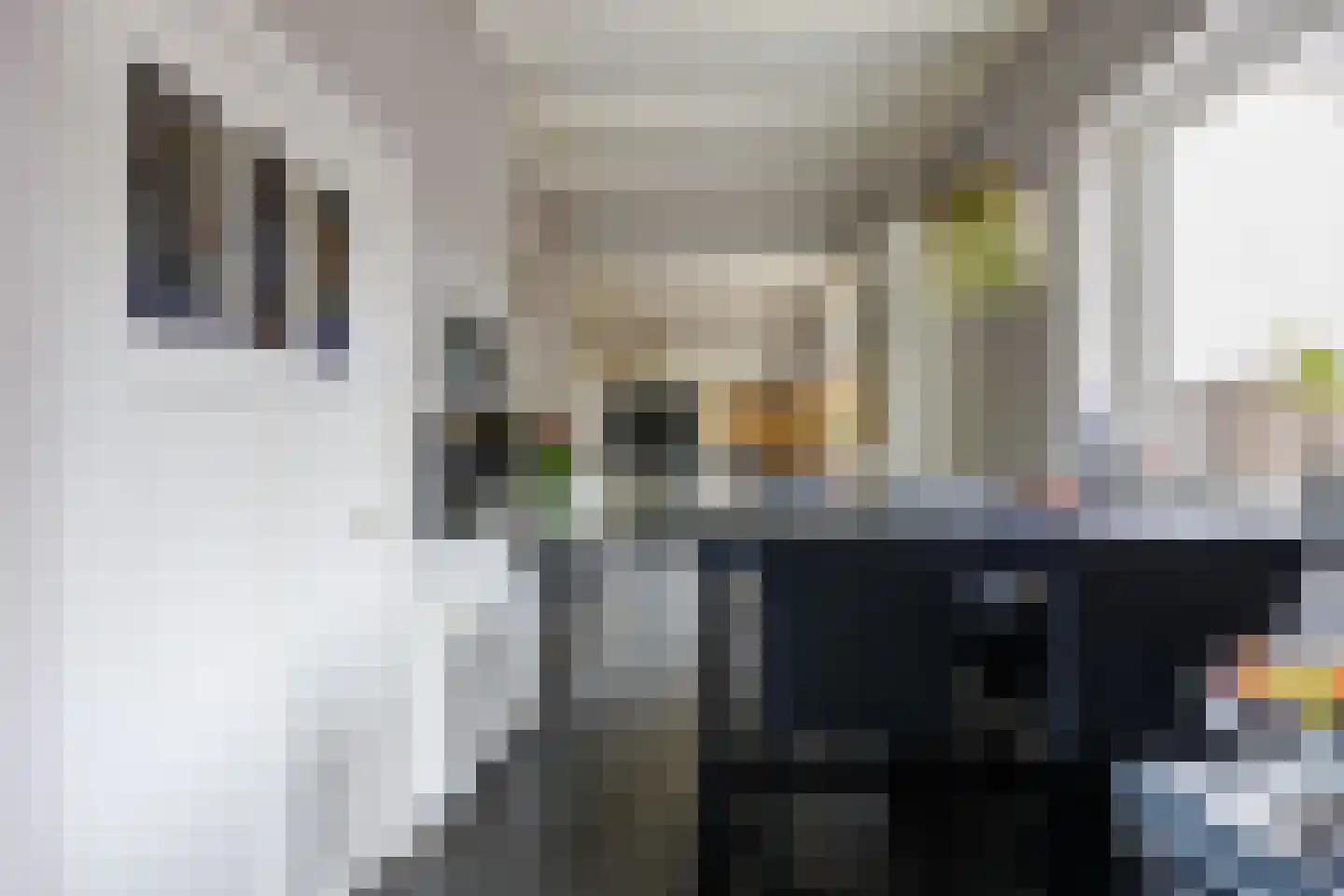 Sint Janstraat 125 Sprundel thumbnail 24