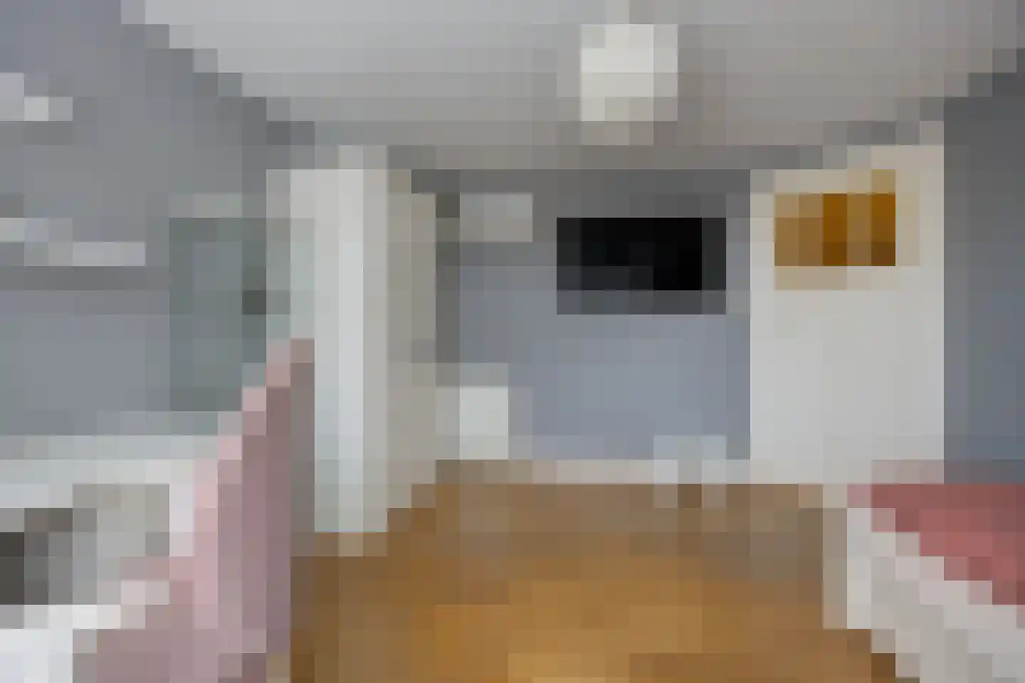 Sint Janstraat 125 Sprundel thumbnail 42
