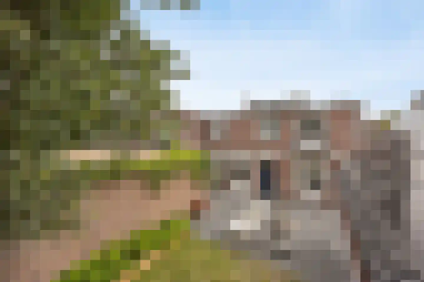 Sint Janstraat 125 Sprundel thumbnail 60