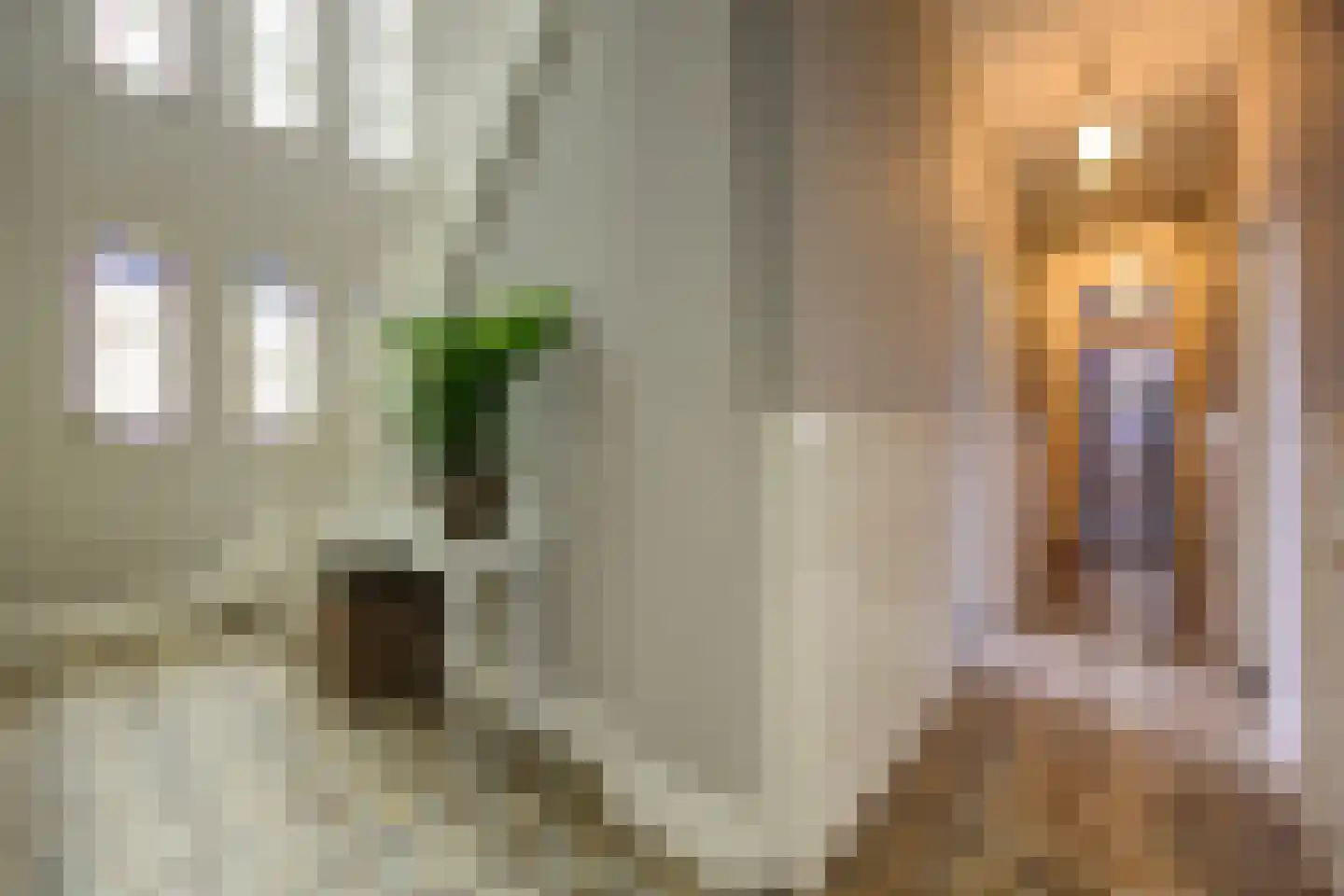 Sint Janstraat 125 Sprundel thumbnail 8