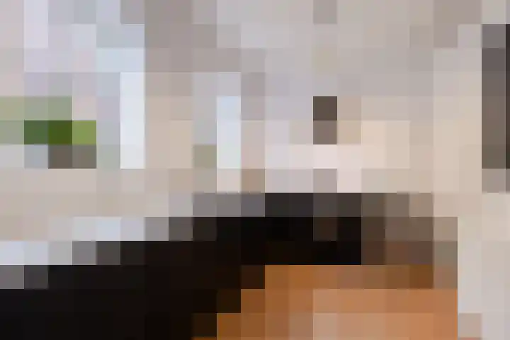 Sint Janswei 6 Deinum foto 3