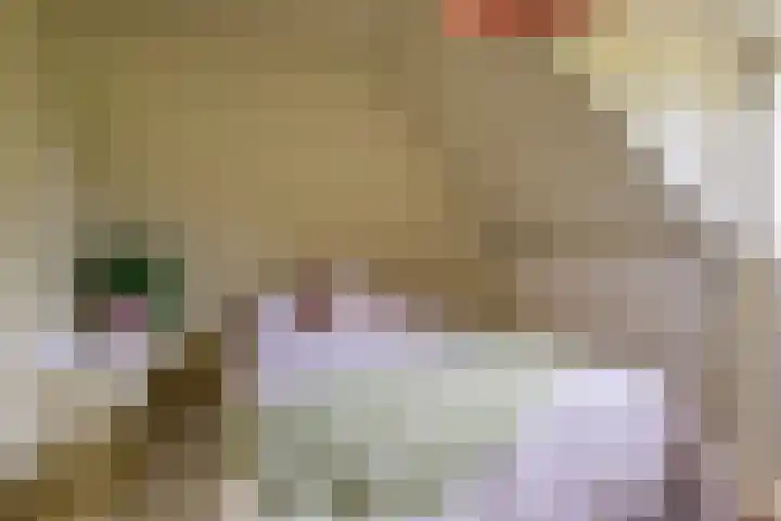 Sint Janswei 6 Deinum thumbnail 37