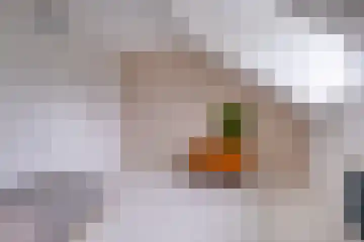 Sint Janswei 6 Deinum thumbnail 43