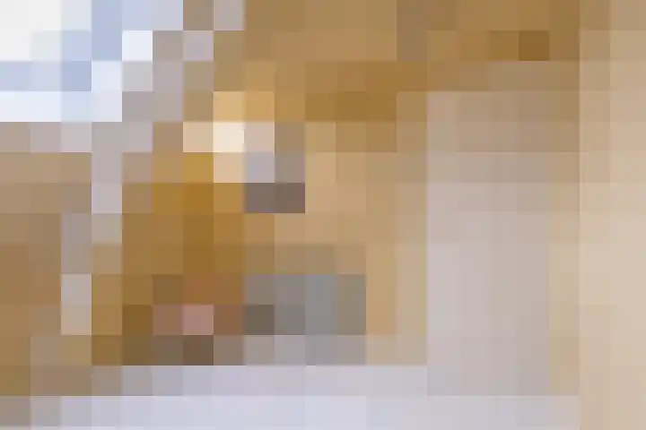 Sint Janswei 6 Deinum thumbnail 47