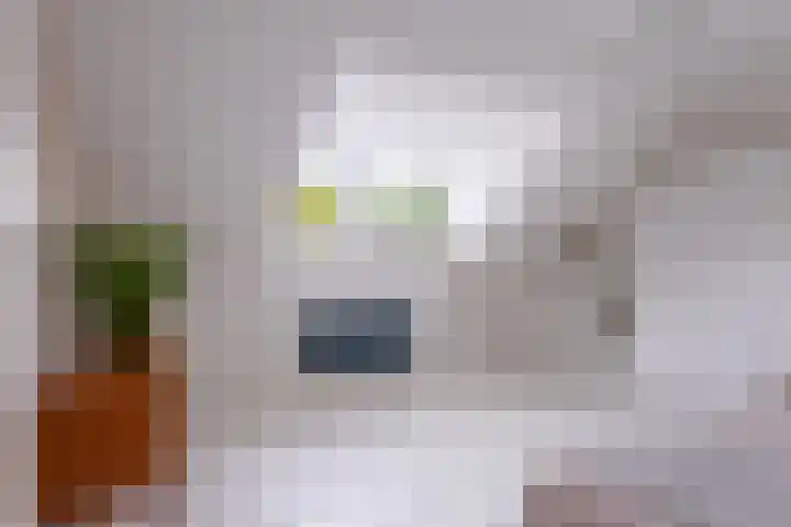 Sint Janswei 6 Deinum thumbnail 5