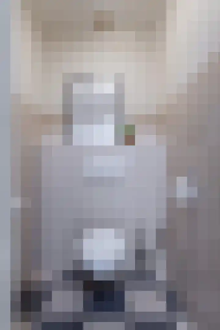 Sint Janswei 6 Deinum thumbnail 53