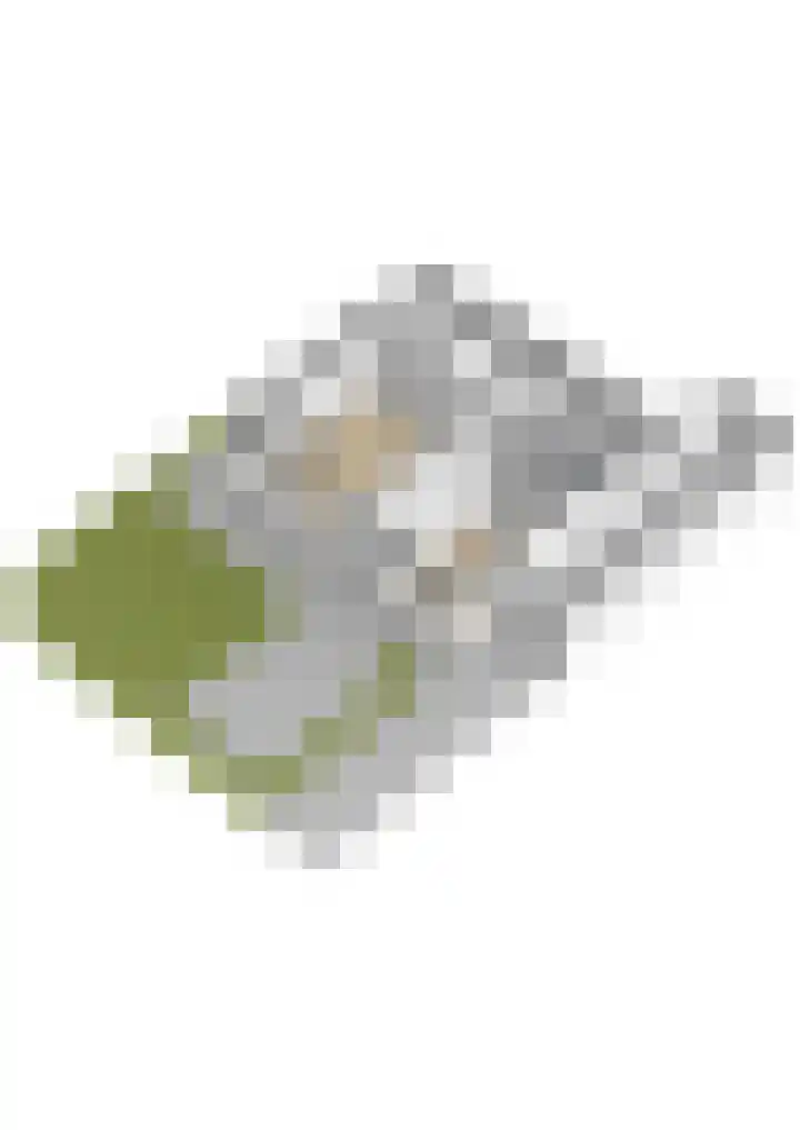 Sint Janswei 6 Deinum thumbnail 63