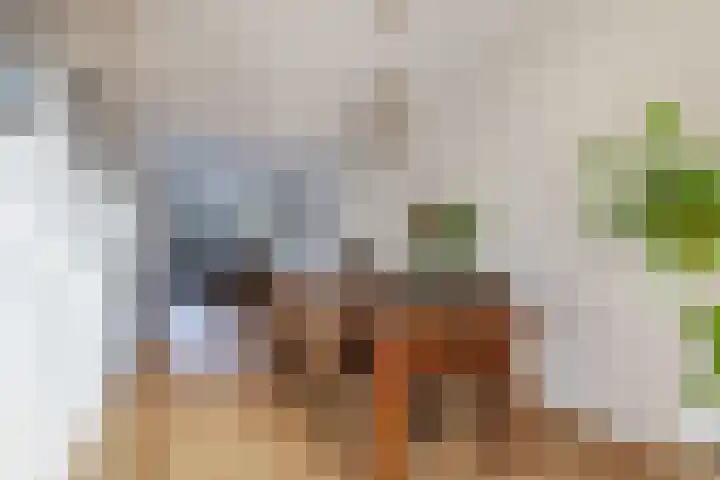 Sint Japiksdyk 7 Winsum thumbnail 14
