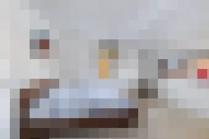 Sint Japiksdyk 7 Winsum thumbnail 26