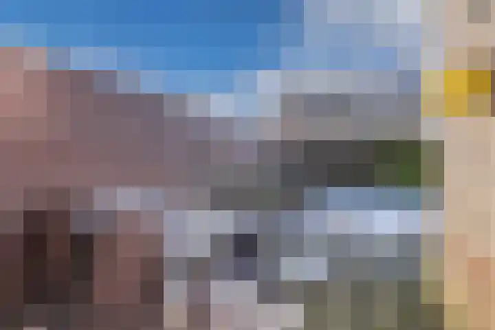 Sint Japiksdyk 7 Winsum thumbnail 36